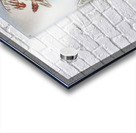 2984 8K Acrylic print