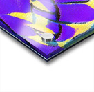 2982 8K Acrylic print