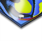 2969 8K Acrylic print