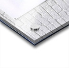 3001 8K Acrylic print