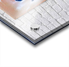 3021 8K Acrylic print