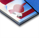 3017 8K Acrylic print