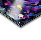 3061 8K Acrylic print