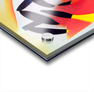 3062 8K Acrylic print