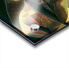 3042 8K Acrylic print