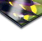 3054 8K Acrylic print