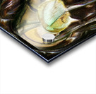 3053 8K Acrylic print