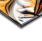 3120 8K Acrylic print