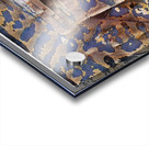 3101 8K Acrylic print