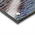 3081 8K Acrylic print