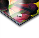 3111 8K Acrylic print