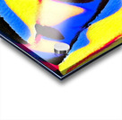 3142 8K Impression Acrylique