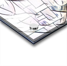 3155 8K Acrylic print