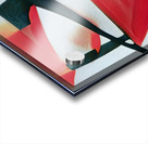 3127 8K Acrylic print