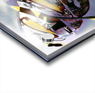 3122 8K Acrylic print