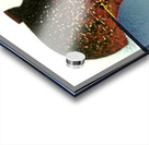 3123 8K Acrylic print