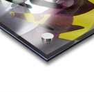 3193 8K Acrylic print