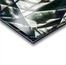 3163 8K Acrylic print