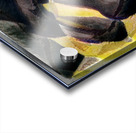 3232 8K Acrylic print