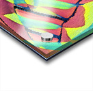 3202 8K Acrylic print