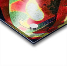 3239 8K Acrylic print