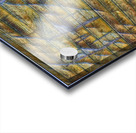 3207 8K Acrylic print