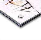 3243 8K Acrylic print