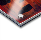 3283 8K Acrylic print