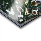 3284 8K Acrylic print