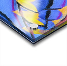 3334 8K Acrylic print