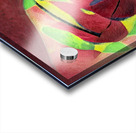 3350 8K Acrylic print