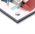 3341 8K Acrylic print