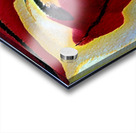 3373 8K Acrylic print