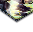 3390 8K Acrylic print