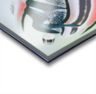 3367 8K Acrylic print