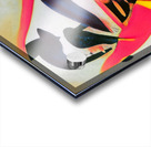 3402 8K Acrylic print