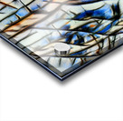 3431 8K Acrylic print