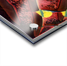 3449 8K Acrylic print