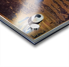 3498 8K Acrylic print