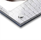 3506 8K Acrylic print