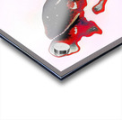 3507 8K Acrylic print