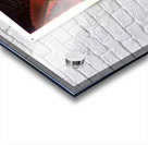 3449 8K Acrylic print