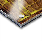 3598 8K Acrylic print