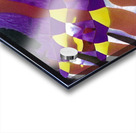 3569 8K Acrylic print