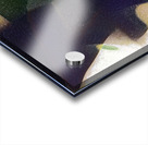 3571 8K Acrylic print