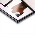 3620 8K Acrylic print