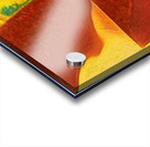 3619 8K Acrylic print