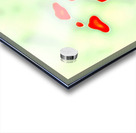 3634 8K Acrylic print