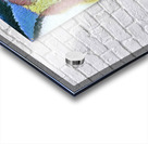 3623 8K Acrylic print