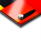 3616 8K Acrylic print